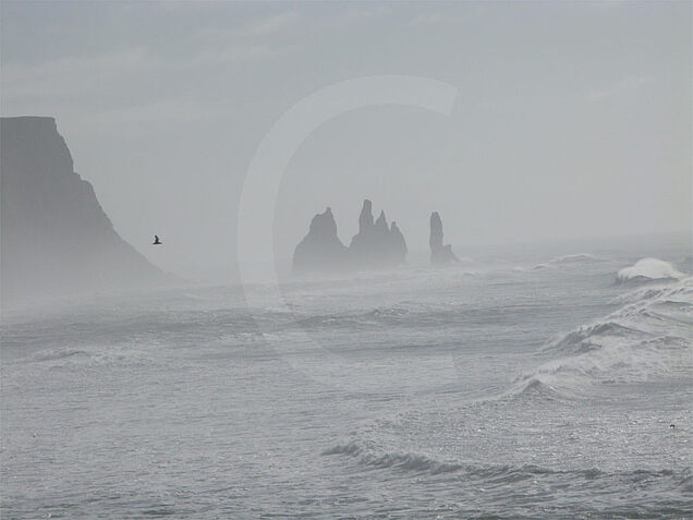Iceland remarkable Seashore