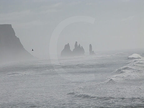 Iceland remarkable Seashore