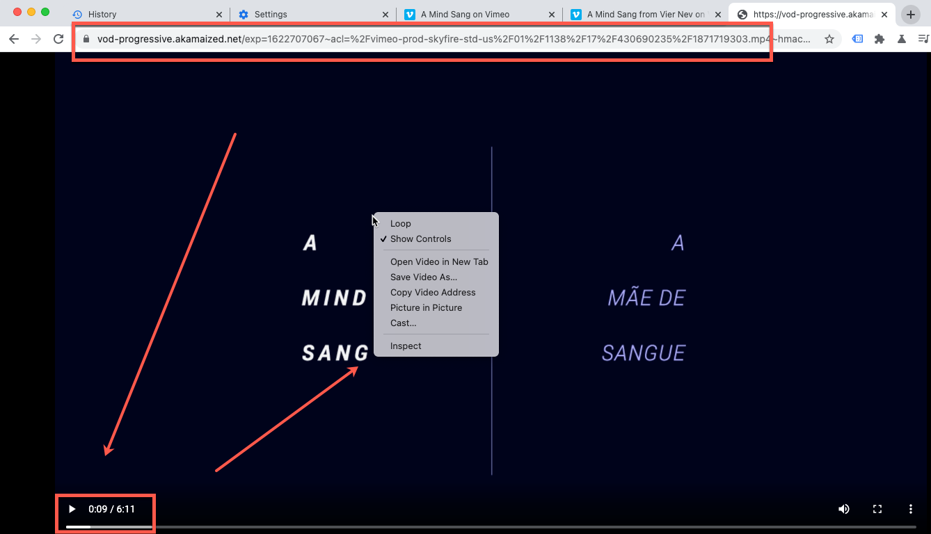 Vimeo Bild 7